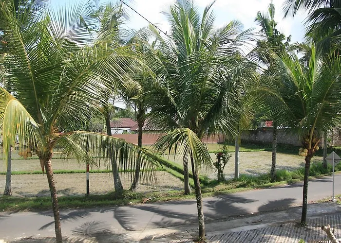 Gusti Rai House *